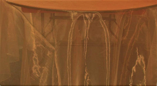 58/60" Wide Polyester Light Weight Sheer Mirror Organza Fabric (Rust 337, 1 Yard)