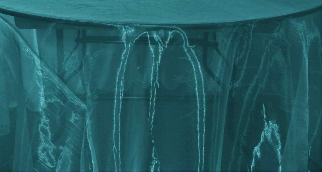 58/60" Wide Polyester Light Weight Sheer Mirror Organza Fabric (Teal 738, 1 Yard)