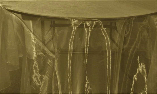 58/60" Wide Polyester Light Weight Sheer Mirror Organza Fabric (Dark Olive 830, 1 Yard)