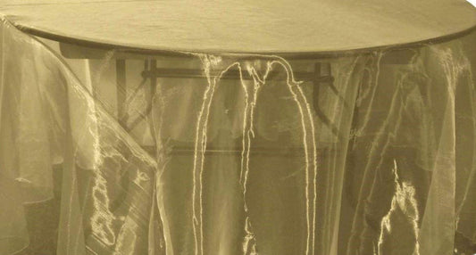 58/60" Wide Polyester Light Weight Sheer Mirror Organza Fabric (Light Olive 831, 1 Yard)