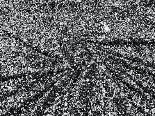 Shiny 5mm Sequin On A 2 Way Stretch Velvet (1 Yard, Silver/Black)