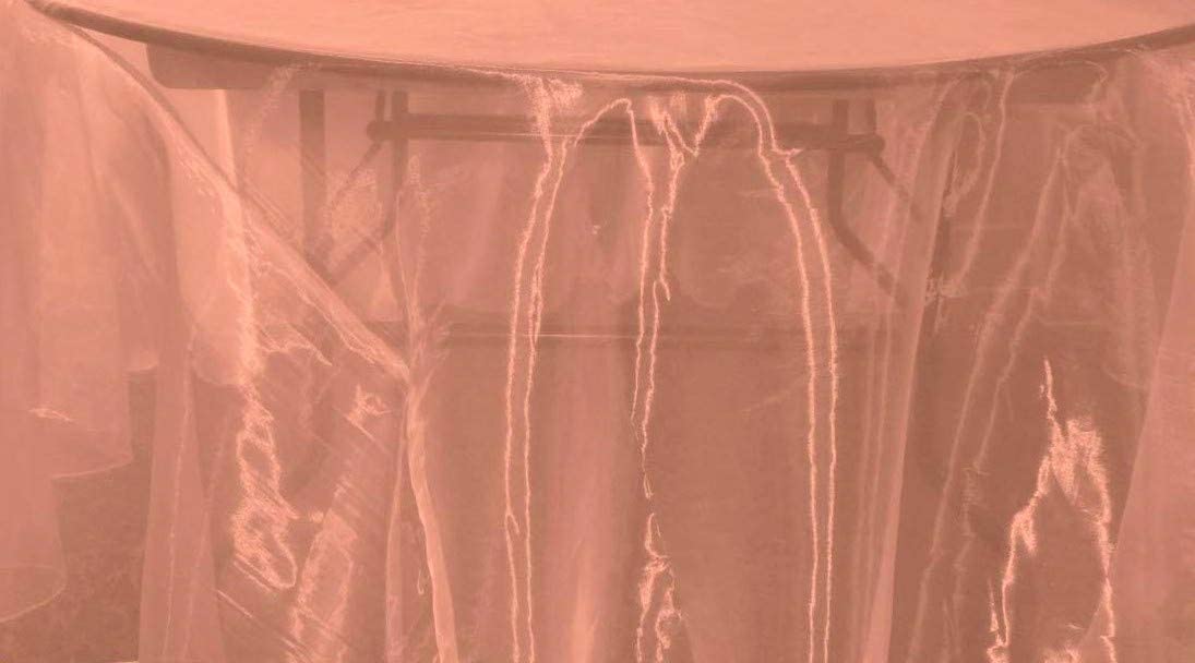 58/60" Wide Polyester Light Weight Sheer Mirror Organza Fabric (Coral 444, 1 Yard)